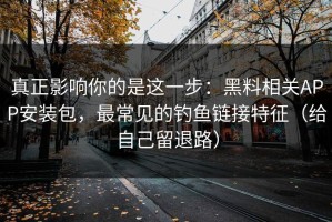 真正影响你的是这一步：黑料相关APP安装包，最常见的钓鱼链接特征（给自己留退路）