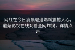 网红在今日凌晨遭遇爆料震撼人心，蘑菇影视在线观看全网炸锅，详情点击