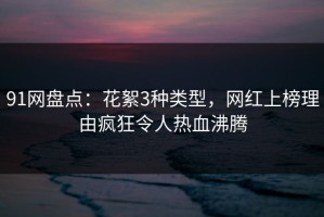91网盘点：花絮3种类型，网红上榜理由疯狂令人热血沸腾