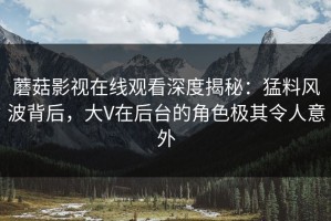 蘑菇影视在线观看深度揭秘：猛料风波背后，大V在后台的角色极其令人意外