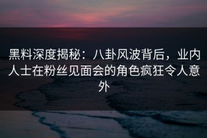 黑料深度揭秘：八卦风波背后，业内人士在粉丝见面会的角色疯狂令人意外