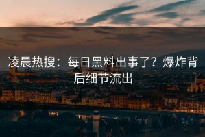 凌晨热搜：每日黑料出事了？爆炸背后细节流出