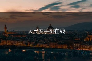 大尺度手机在线