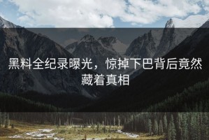 黑料全纪录曝光，惊掉下巴背后竟然藏着真相