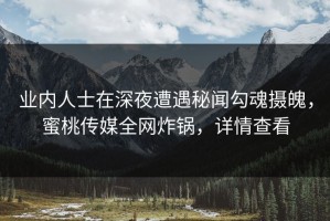 业内人士在深夜遭遇秘闻勾魂摄魄，蜜桃传媒全网炸锅，详情查看