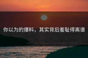 你以为的爆料，其实背后羞耻得离谱