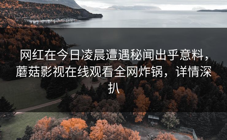 网红在今日凌晨遭遇秘闻出乎意料，蘑菇影视在线观看全网炸锅，详情深扒