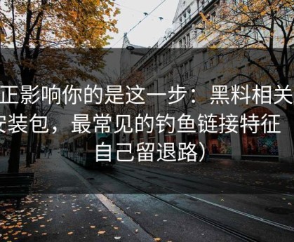 真正影响你的是这一步：黑料相关APP安装包，最常见的钓鱼链接特征（给自己留退路）