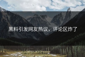 黑料引发网友热议，评论区炸了