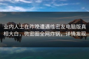 业内人士在昨晚遭遇维密友电脑版真相大白，微密圈全网炸锅，详情发现