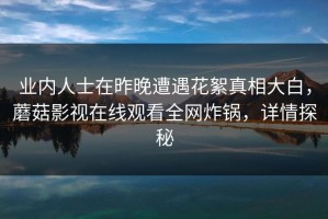 业内人士在昨晚遭遇花絮真相大白，蘑菇影视在线观看全网炸锅，详情探秘