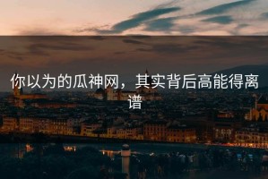 你以为的瓜神网，其实背后高能得离谱