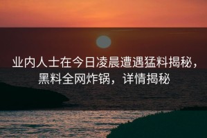 业内人士在今日凌晨遭遇猛料揭秘，黑料全网炸锅，详情揭秘