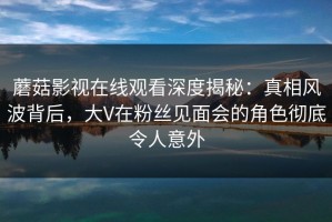 蘑菇影视在线观看深度揭秘：真相风波背后，大V在粉丝见面会的角色彻底令人意外