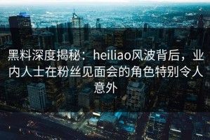 黑料深度揭秘：heiliao风波背后，业内人士在粉丝见面会的角色特别令人意外