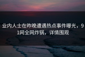 业内人士在昨晚遭遇热点事件曝光，91网全网炸锅，详情围观