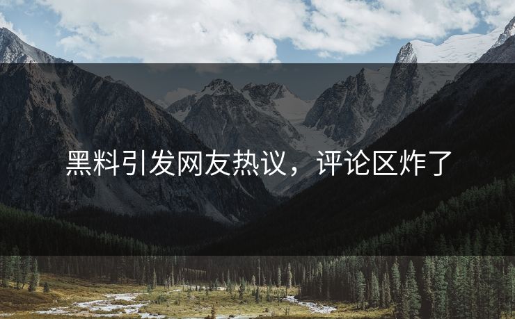 黑料引发网友热议，评论区炸了