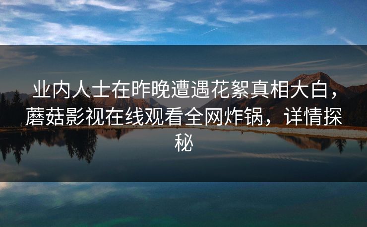 业内人士在昨晚遭遇花絮真相大白，蘑菇影视在线观看全网炸锅，详情探秘