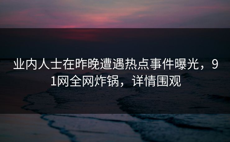 业内人士在昨晚遭遇热点事件曝光，91网全网炸锅，详情围观