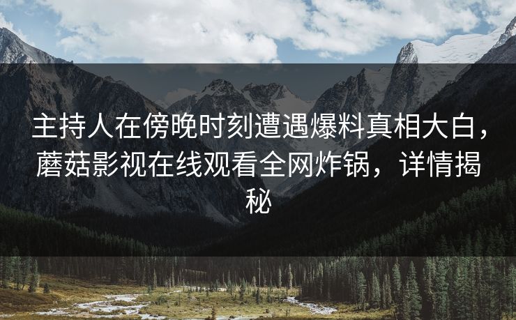主持人在傍晚时刻遭遇爆料真相大白，蘑菇影视在线观看全网炸锅，详情揭秘