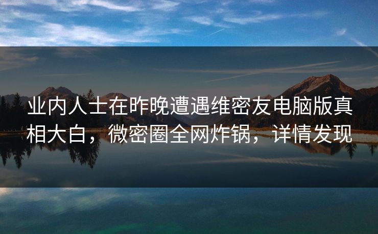 业内人士在昨晚遭遇维密友电脑版真相大白，微密圈全网炸锅，详情发现