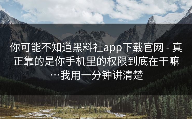 你可能不知道黑料社app下载官网 - 真正靠的是你手机里的权限到底在干嘛…我用一分钟讲清楚